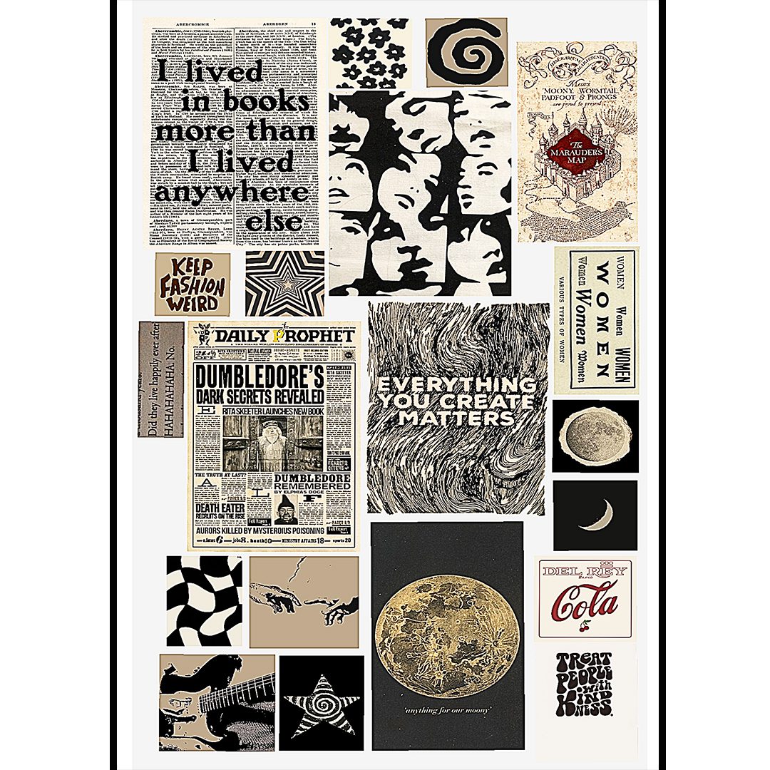 Dark Academia Sticker Pack | 20 Premium Dark Academia Book Lover Harry Potter Lana Del Rey Aesthetic Sticker Pack Pakistan